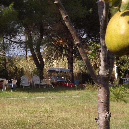 Pefka Studios & Apartments Chalkidiki Bagian luar foto