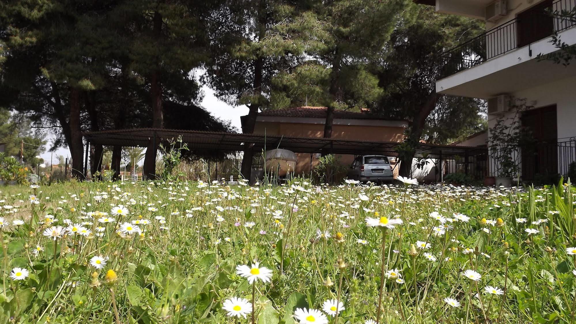 Pefka Studios & Apartments Chalkidiki Bagian luar foto