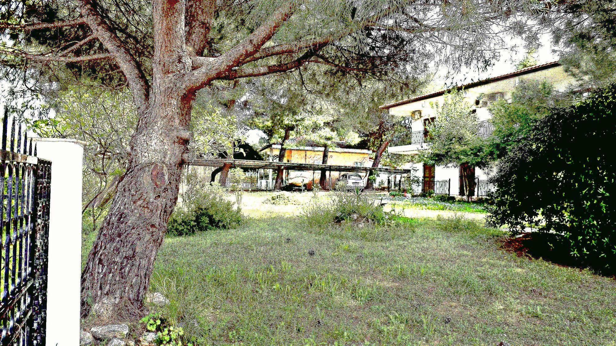 Pefka Studios & Apartments Chalkidiki Bagian luar foto