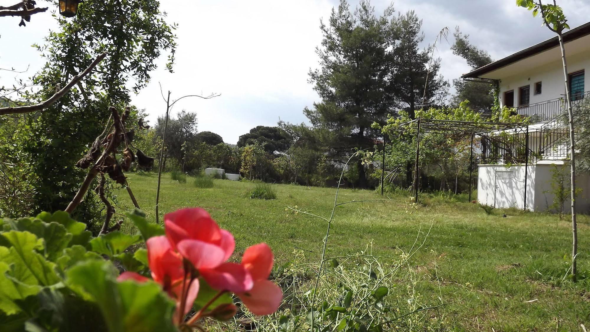 Pefka Studios & Apartments Chalkidiki Bagian luar foto