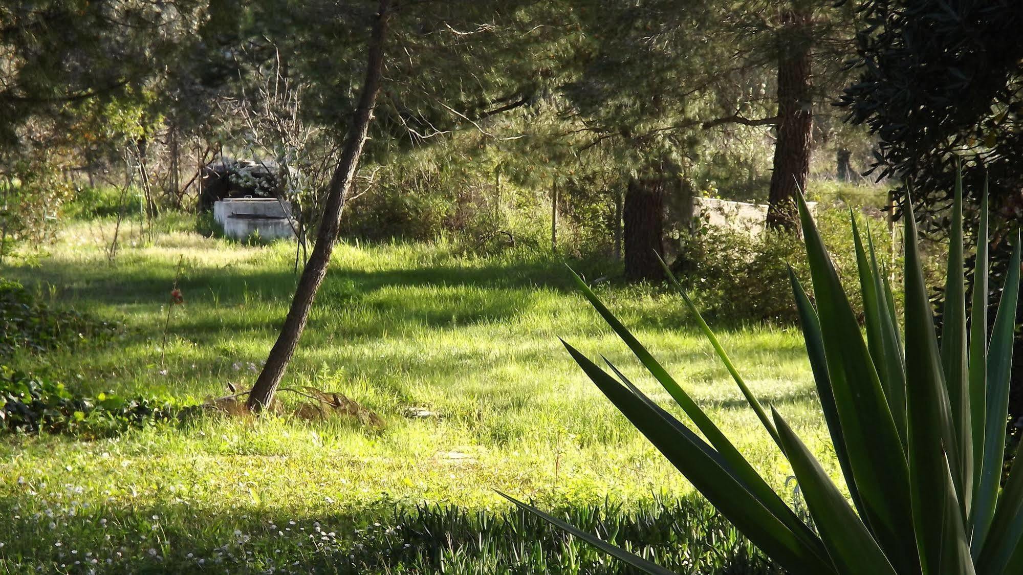 Pefka Studios & Apartments Chalkidiki Bagian luar foto